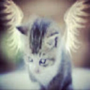 Meet your Posher, Juli